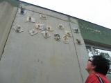 Chimères en terre sur le mur des ateliers Gagarine