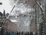Témoins de l’histoire à Auschwitz